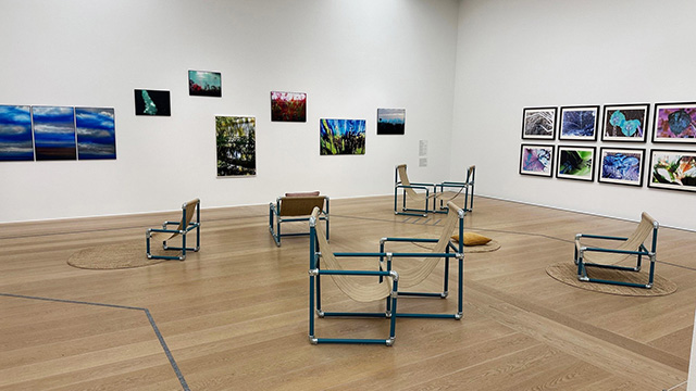 Bilder hängen an der Wand in einem Raum der Kunsthalle. In der Mitte stehen einige Stühle.