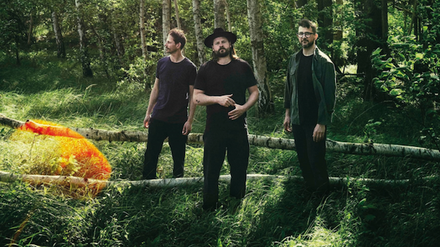 Die Mighty Oaks stehen im Wald.